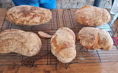 Erster Brotbackkurs
